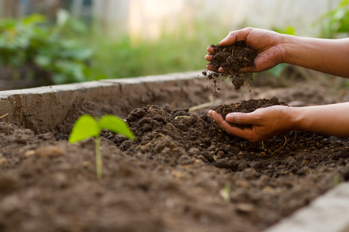 Soil Testing